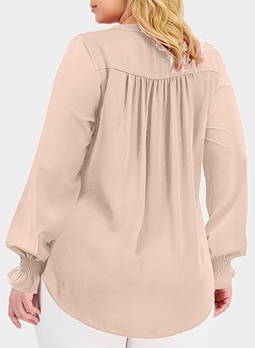 Eytino Women's Plus Size Long Sleeve Tops V Neck Chiffon Blouse - color: Apricot, size: 2X