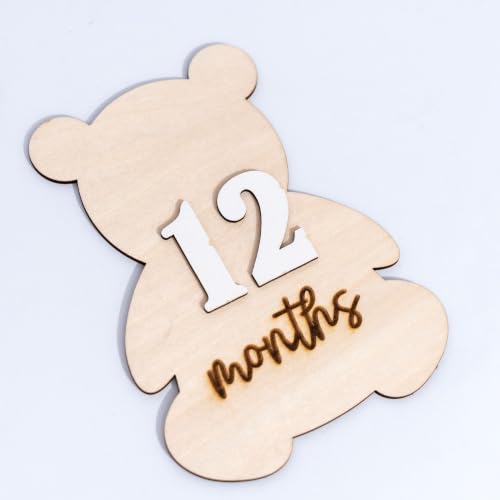 Bear Themed Monthly Milestone Discs
