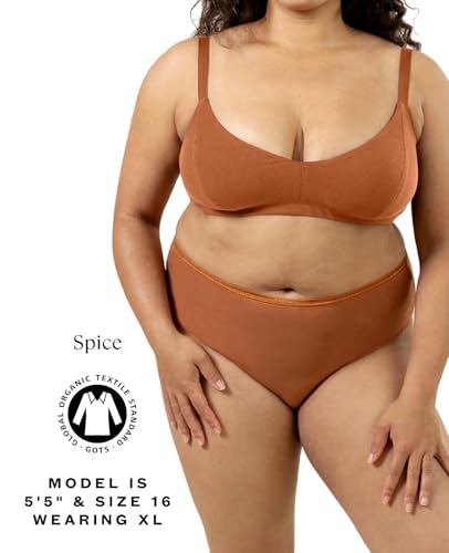 Subset Women's Organic Cotton High-Rise Brief, Knickey Underwear, 3-Pack - color: Cacao + Spice + Wheat, size: X-Large