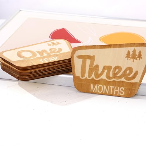 Baby Monthly Milestone Markers,Mountain Baby's First Year