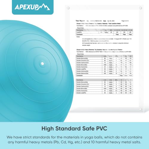 APEXUP Yoga Ball, 660 lbs Anti-Burst Exercise Ball with Pump, 5 Sizes - color: Light Blue, size: M (19"~22") 55cm