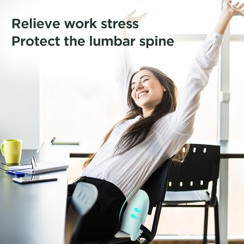 Lumbar Support Pillow for Office Chair, Memory Foam Car Back Cushion - color: Green