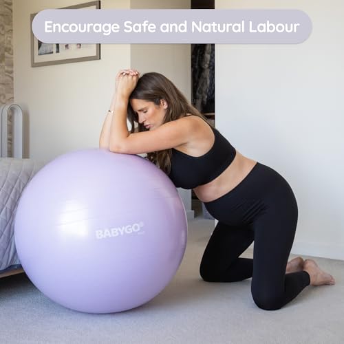 BABYGO Birthing Ball, Pregnancy & Labor, Award Winning Book - color: Lavender, size: 65cm - Manual