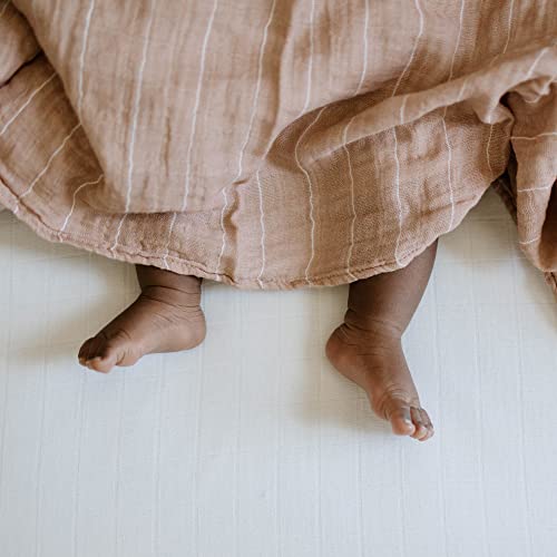Blanket - color: Mauve Stripe