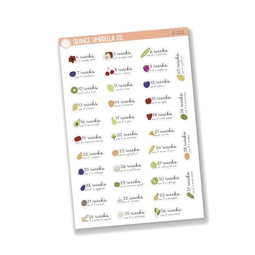 Pregnancy Weeks/Baby Is Size Of... Icon Script Planner Stickers | F16 | E-222