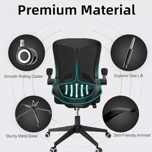 Ergonomic Office Chair - 350LB Comfy Desk Chairs with Lumbar Back Support, Mesh Computer Chairs with Wheels and Arms for Home Office, Study (Black-Without Headrest) - color: 669black-without Headrest