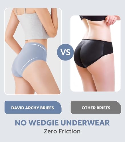 DAVID ARCHY Women's Bamboo Rayon Briefs, High-Waisted Underwear, 4/6 Pack - color: Blue Gray / Sky Blue / Light Purple / Purple Gray, size: X-Large
