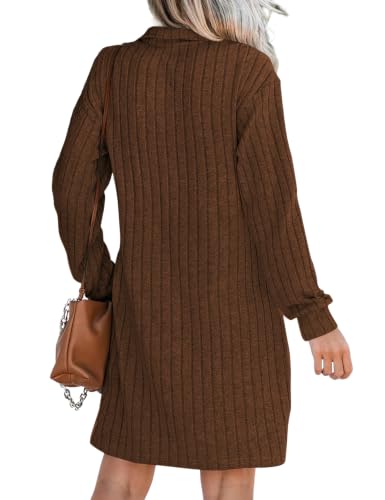 Naggoo Womens Fall Long Sleeve Dresses Collared V Neck Sweater Mini Dress - color: Dark Coffee, size: Large