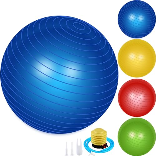Leyndo 4 Pcs 26 Inch Yoga Exercise Ball Pilates, Bright Color