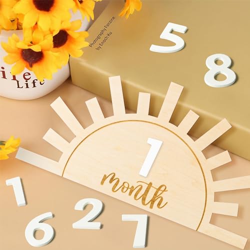 R HORSE Baby Monthly Milestone Card with Number Cards