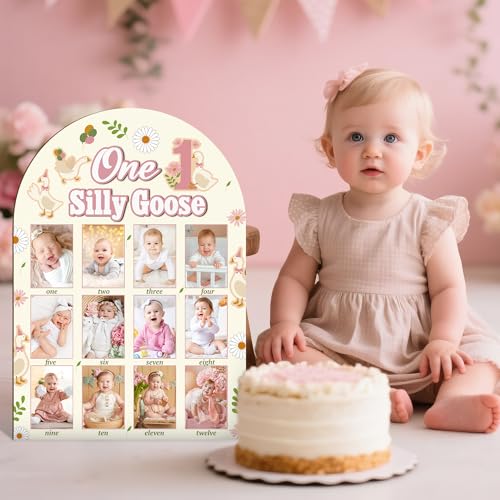 R HORSE 3D My First Year Photo Frame Board Fits 2 x 3 Inch Photo - color: Goose