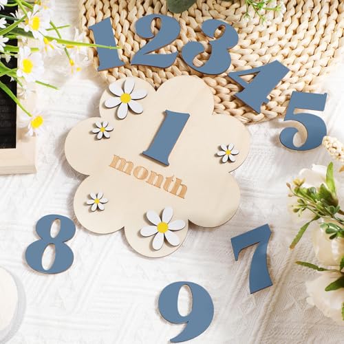 3D Daisy Baby Monthly Milestone Sign Cards, Slate Blue - color: Slate Blue