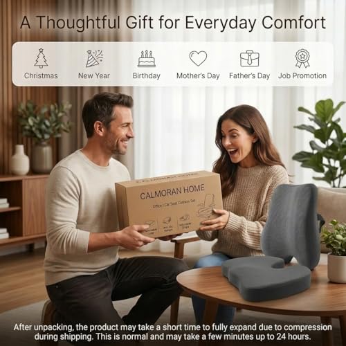 Lumbar Support Pillow & Seat Cushion for Office Chairs, Gray