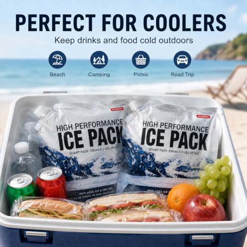 Reusable Ice Packs for Coolers 5 Pack, Long Lasting Gel Freezer Packs for Cooler Bag, Large Lunch Box, Beach, Camping & Road Trips Cold Blocks (9.8" x 9.8") - size: Medium-5pk