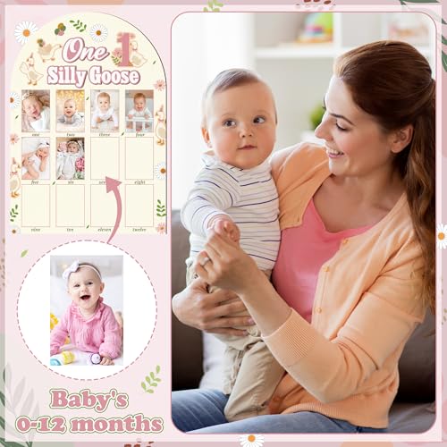 R HORSE 3D My First Year Photo Frame Board Fits 2 x 3 Inch Photo - color: Goose