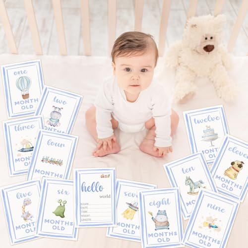 Monthly Milestone Signs for Baby My First Holiday Milestone Signs - color: Blue 2