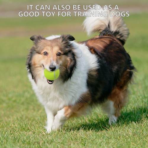 SHYUJAJIE Tennis Ball,20 Pack Practice Balls Bulk,Dog Balls with Mesh Bag - color: Light Orange