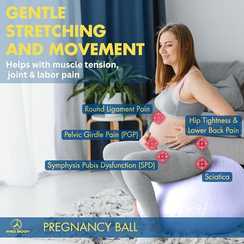 ProBody Pilates Pregnancy Ball with Guide - Birthing Ball - color: Lilac, size: 55 cm: 4'4" - 5'-1"