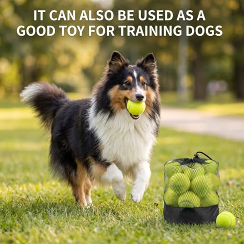 Tebery 20 Pack Advanced Training Tennis Balls, Practice Ball for Beginners with Mesh Bag, Pet Dog Playing Balls for Backyard Play, Exercise - color: Green