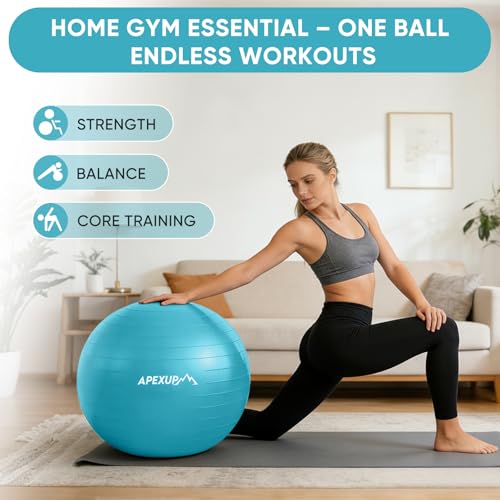 APEXUP Yoga Ball, 660 lbs Anti-Burst Exercise Ball with Pump, 5 Sizes - color: Light Blue, size: M (19"~22") 55cm