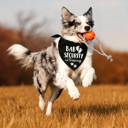 Baby Security Dog Bandana - Pregnancy Reveal Accessory for Dogs (Black) - color: Baby Security Black
