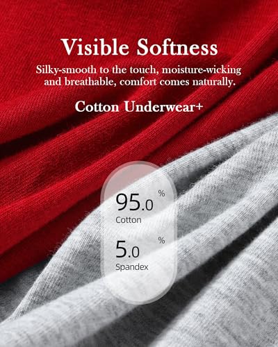 Annenmy High Waisted Womens Underwear Cotton Underwear Full Coverage Briefs Stretch Breathable Ladies Panties 5 Pack - color: Multicolor, size: Large