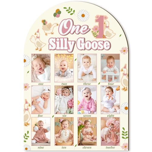 R HORSE 3D My First Year Photo Frame Board Fits 2 x 3 Inch Photo - color: Goose