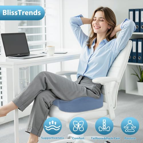 BlissTrends Extra Thick Seat Cushion for Office Chair & Car Seat, LightBlue - color: Light Blue, size: XX-Large