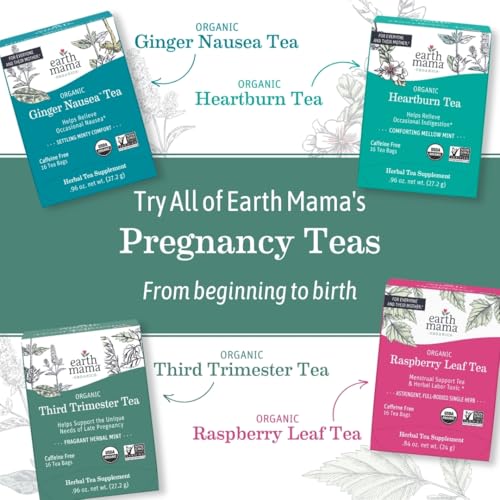 Earth Mama - Organic Peaceful Tea, Calming Herbal Blend - 16 Teabags (6 Pk) - size: 16 Count (Pack of 6)