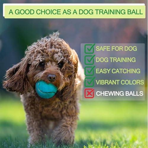 INSUM Bulk Tennis Balls, Extra Duty Practice Balls with Mesh Bag - color: Dark Blue, size: 12 Pack