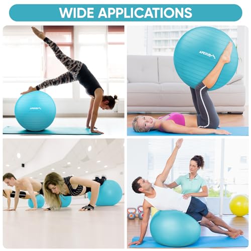 APEXUP Yoga Ball, 660 lbs Anti-Burst Exercise Ball with Pump, 5 Sizes - color: Light Blue, size: M (19"~22") 55cm