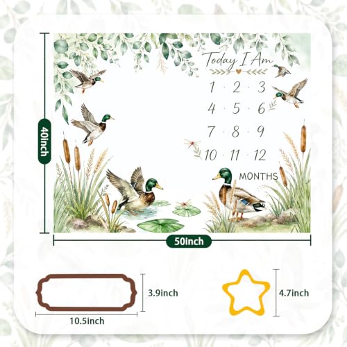 Mallard Duck Baby Monthly Milestone Blanket,1-12 Months Newborn Photo Prop, Greenery Duck Growth Photography Backdrop, Soft Flannel Monthly Milestone Blanket for Baby Girl Boy Shower,50x40inch - color: Mallard Duck
