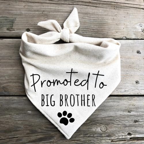 Dog Bandanas Promoted to Big Brother Pregnancy Announcement Baby Reveal Oatmeal Beige Minimal (Small) - size: Small