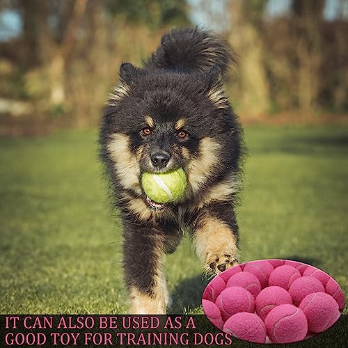 Swingers Tennis Balls, 6/20/36/80 Pack Training Exercise Balls for Pet Dog - color: Pink, size: 20 PACK