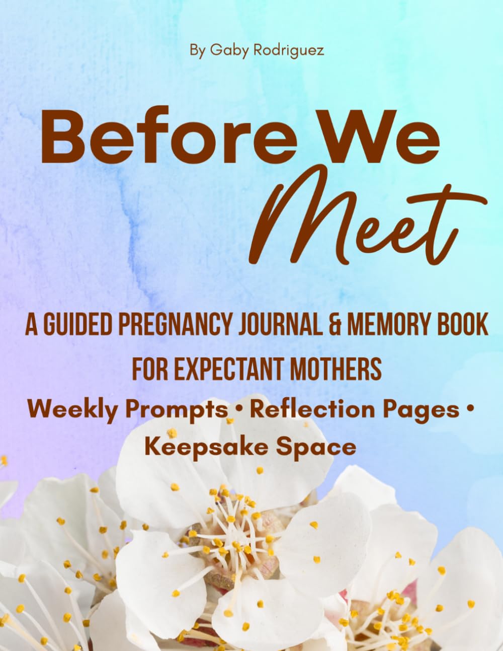 Before We Meet: A Guided Pregnancy Journal & Memory Book for Expectant Mothers Weekly Prompts · Reflection Pages · Keepsake Space