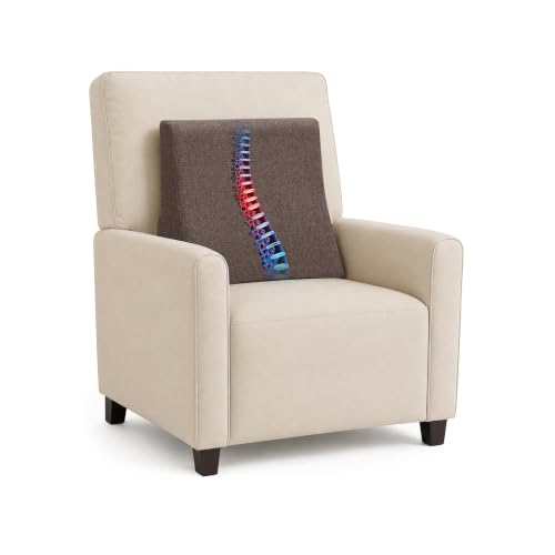 Vekkia Lumbar Support Pillow for Sofa(Brown) - color: Brown