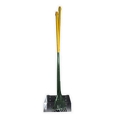 Four Paws Dog Rake & Scooper Set for Pet Waste Pick-Up, Large, 2 Count - size: Large, 9.5" x 10" x 38", style: Rake & Pan Set