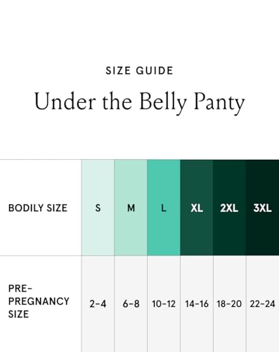 Bodily Under the Belly Low-Rise Maternity Underwear, 3-Pack - size: Small