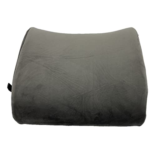 Bookishbunny Premium Memory Foam Lumbar Support Cushion Pillow (Gray) - color: Gray