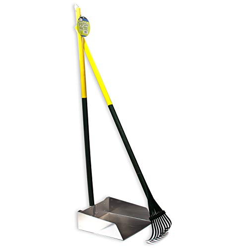 Four Paws Dog Rake & Scooper Set for Pet Waste Pick-Up, Large, 2 Count - size: Large, 9.5" x 10" x 38", style: Rake & Pan Set