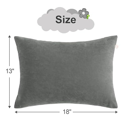 BEDSUM Plush Toddler Pillows, 13 x 18, Microfiber, 2 Pack, Dark Grey - color: Dark Grey, size: 13x18 inches