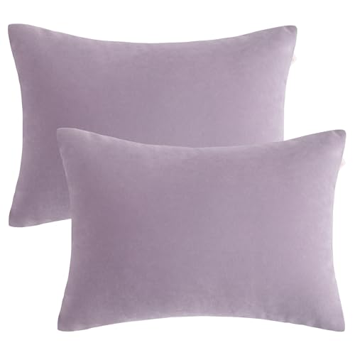 BEDSUM Plush Toddler Pillows, 13 x 18, Microfiber, 2 Pack, Lavender - color: Lavender, size: 13x18 inches