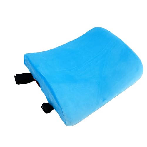 Bookishbunny Premium Memory Foam Lumbar Support Cushion Pillow (LightBlue) - color: Lightblue