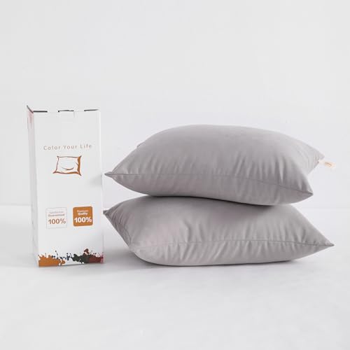 BEDSUM Plush Toddler Pillows, 13 x 18, Microfiber, 2 Pack, Light Grey - color: Light Grey, size: 13x18 inches