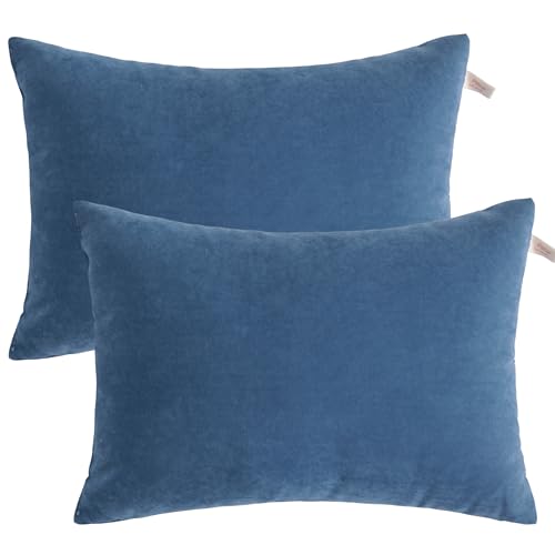 BEDSUM Plush Toddler Pillows, 13 x 18, Microfiber, 2 Pack, Denim Blue - color: Denim Blue, size: 13x18 inches