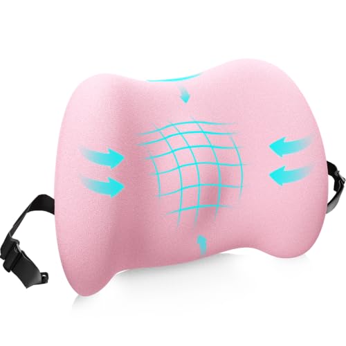 Lumbar Support Pillow for Office Chair, Memory Foam Car Back Cushion - color: Pink