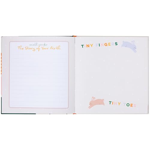 C.R. Gibson Baby Keepsake Memory Book, 9.5" x 10", Little Darling - style: Little Darling