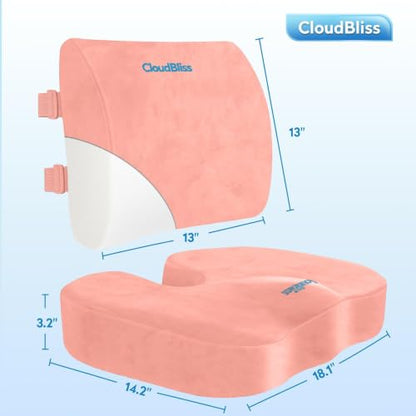 CloudBliss Ergonomic Seat Cushion & Lumbar Support Pillow Set, Pink, Large - color: Pink, size: Large
