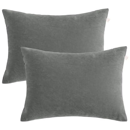 BEDSUM Plush Toddler Pillows, 13 x 18, Microfiber, 2 Pack, Dark Grey - color: Dark Grey, size: 13x18 inches