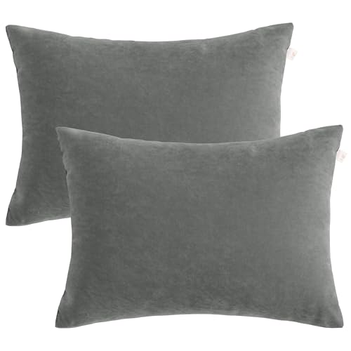 BEDSUM Plush Toddler Pillows, 13 x 18, Microfiber, 2 Pack, Dark Grey - color: Dark Grey, size: 13x18 inches